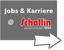 Schollin Jobs & Karriere