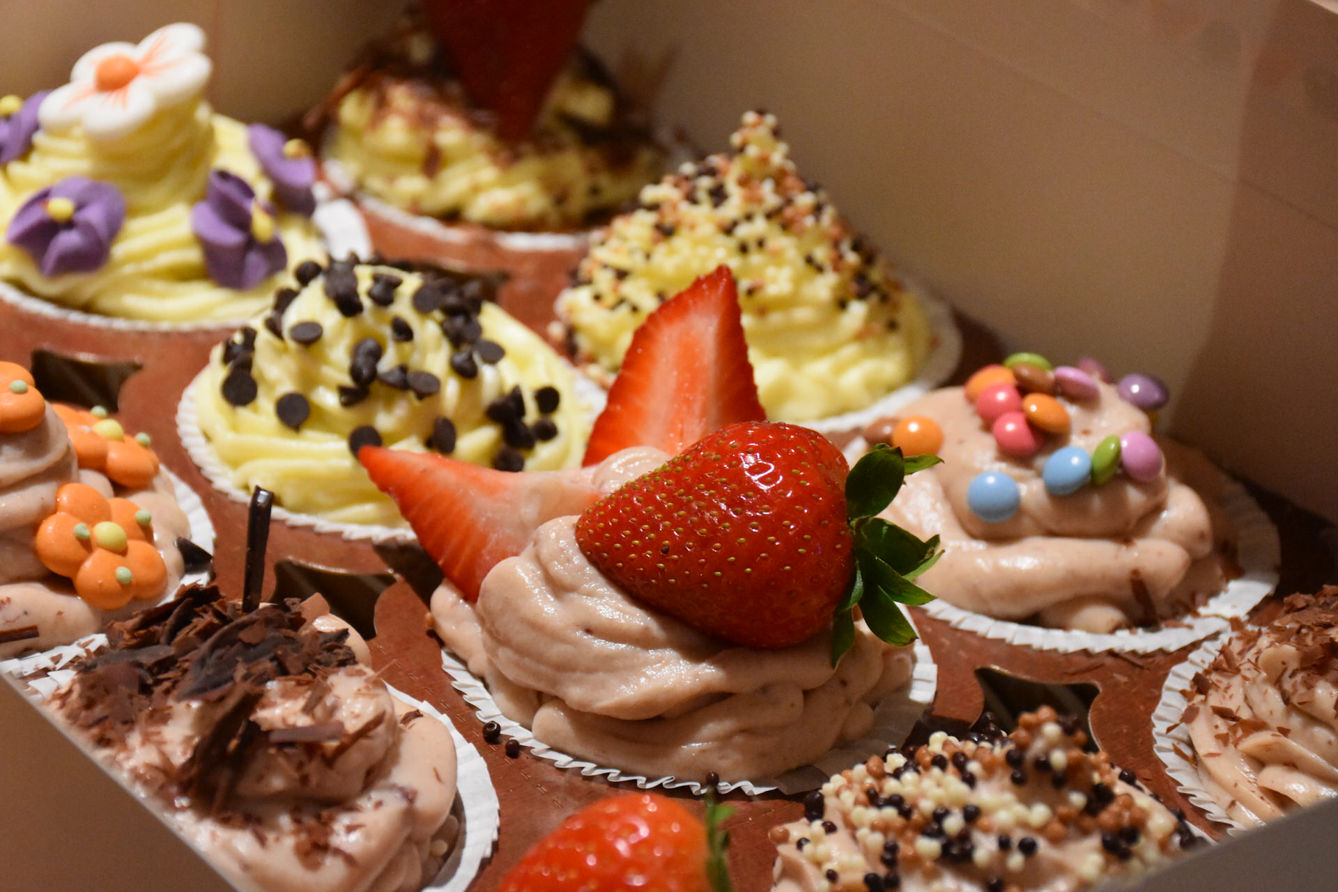 Bäckerei Schollin - Cupcake-Kurs - fertige Cupcakes