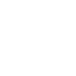 Schollin Geschichte Zahlen Mitarbeiter Schollin Geschichte Zahlen Mitarbeiter